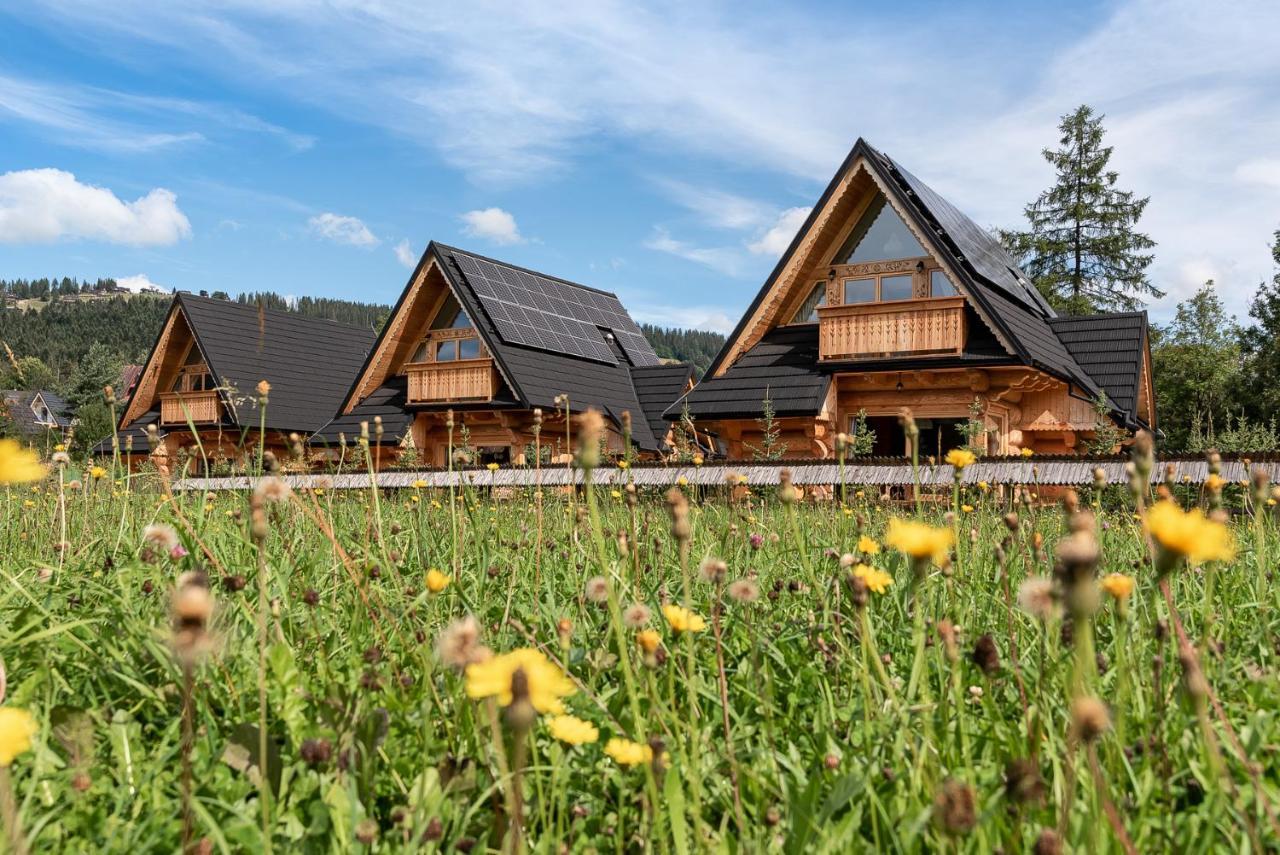 Sniezna Dolina - Sobiczkowa Bor Luxury Chalets Kościelisko Eksteriør billede